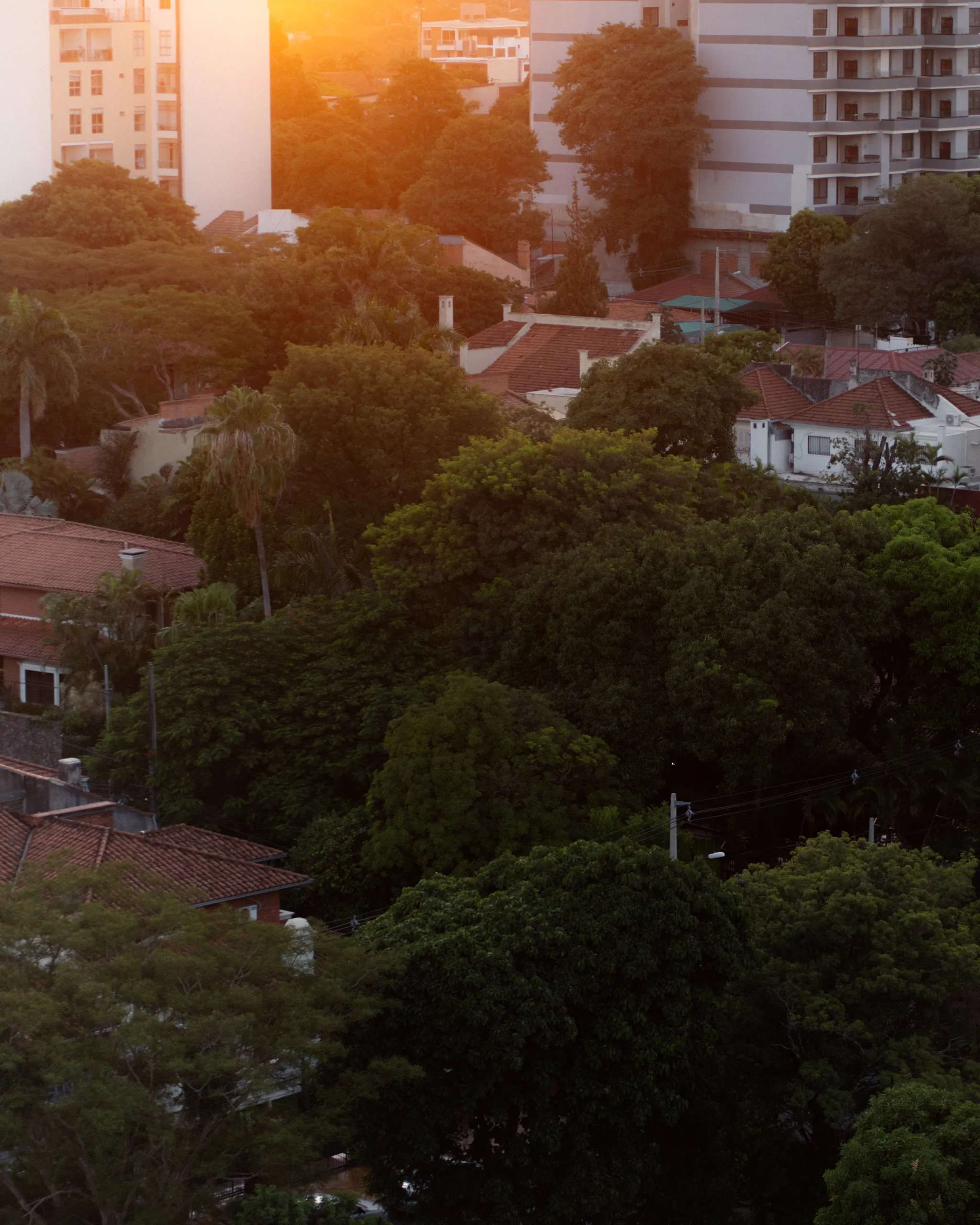 Vista aérea del barrio al atardecer